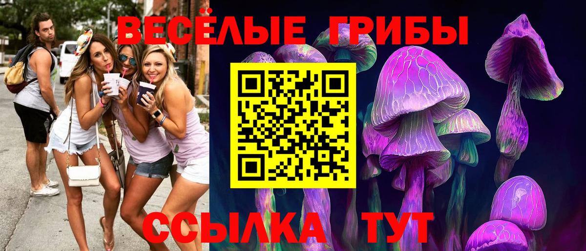 Псилоцибиновые грибы MAGIC MUSHROOMS Пенза